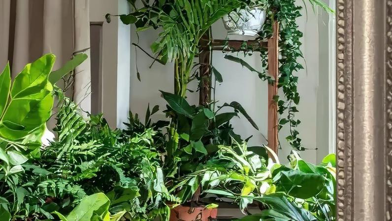 Espelhos gigantes ampliam cômodo e iluminam melhor o ambiente