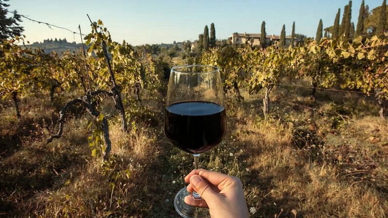 Especialistas do vinho contam suas degustações mais marcantes ao Figaro