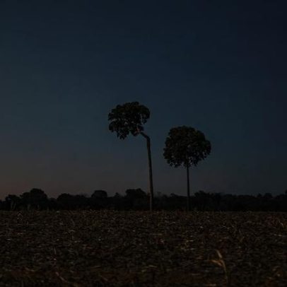 Seca avança na Amazônia e cenário extremo do futuro já é realidade