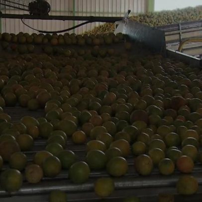 Receita das exportações de suco de laranja cai quase 30% na safra atual