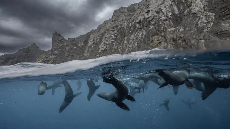 Plano chileno de proteger 10% adicionais do oceano fica parado com novo governo