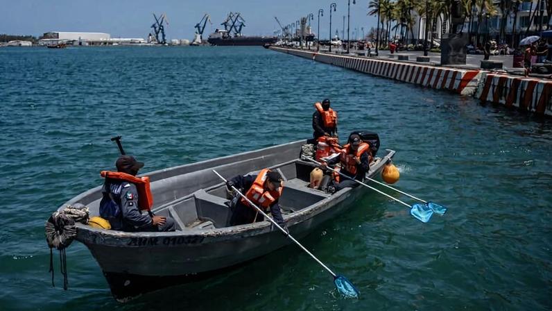 Vazamento de óleo persiste no Golfo do México; Pemex admite falha