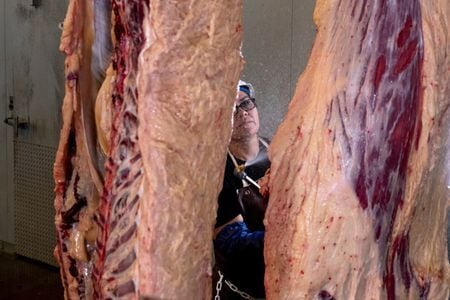 Um produtor de carne integrado, da fazenda ao mercado 20 de março de 2026 REUTERS/Cheney Orr
