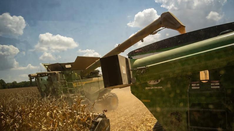 Mercados dos EUA miram exportação de fertilizantes nitrogenados diante do Irã