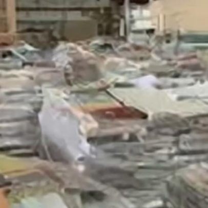 40 mil livros são recuperados após descarte indevido em Osasco