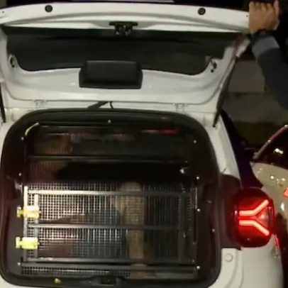 Suspeitos de danificar câmeras do Smart City em João Pessoa são presos