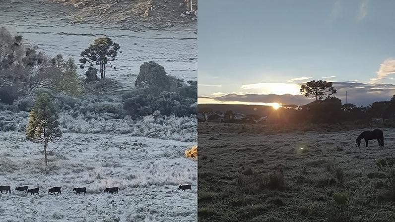 Santa Catarina amanheceu com temperaturas negativas e paisagens cobertas de geada, nesta terça-feira (28)