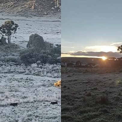 SC registra temperaturas negativas e geada em diversas regiões