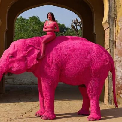 Elefante rosa na Índia provoca indignação e investigação