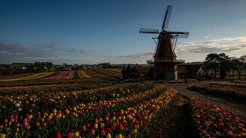 Holambra brilha com a Expoflora e o sabor do autêntico stroopwafel europeu