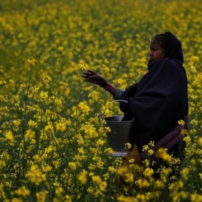 Indonésia negocia exportação de fertilizantes para Brasil, Índia e Filipinas