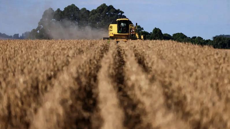 Colheita no Rio Grande do Sul (Foto: REUTERS)