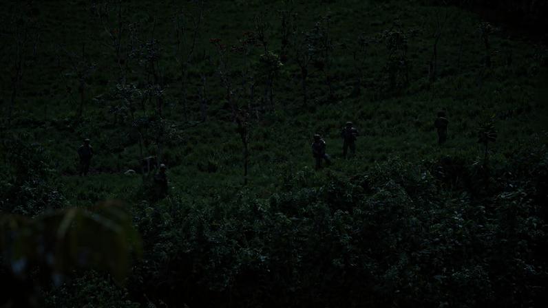 Novo relatório mostra como crime ambiental ameaça comunidades amazônicas