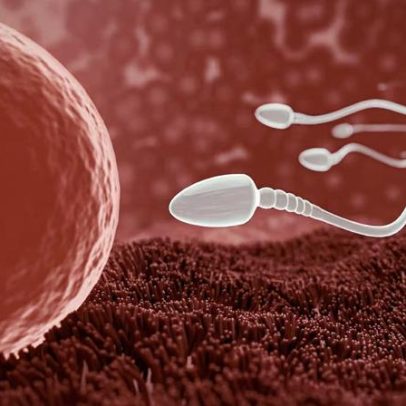 Método inovador de contracepção masculina sem hormônios é reversível