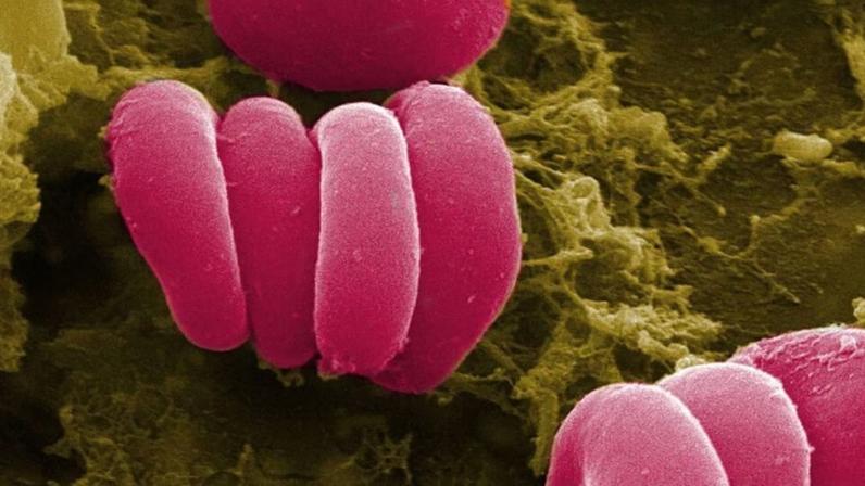Microplásticos encontrados no sangue: o que a ciência sabe