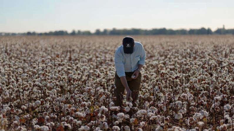 Cotton Incorporated is helping companies prepare for current sustainability regulations by supporting transparency, alternative materials and circular solutions.