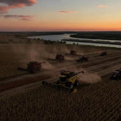Amaggi, criada em 1977, opera 180 mil hectares e lidera exportação de soja.