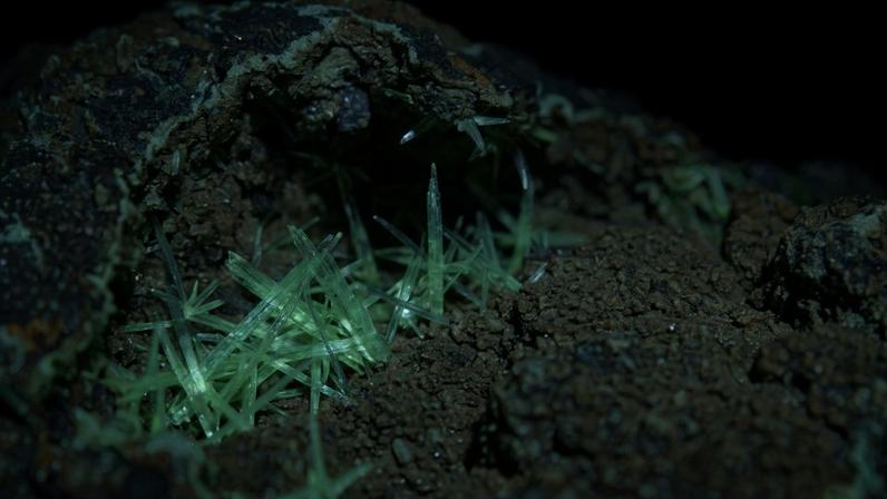 (Imagem ilustrativa)Agulhas verdes radioativas do mineral de urânio e cobre altamente perigoso encontrado nas minas