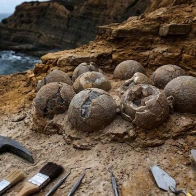 Geólogos descobrem ninho intocado com ovos de dinossauro em Portugal