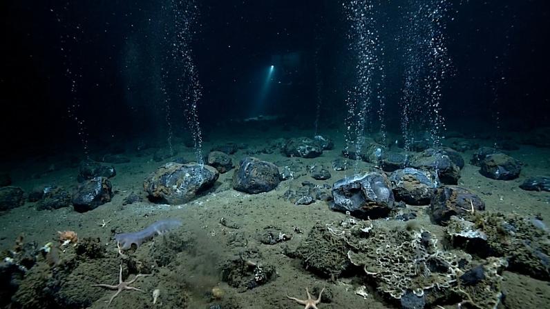 O enigma do “oxigênio negro”: oceanógrafos acham ar puro a 4.000 metros de profundidade