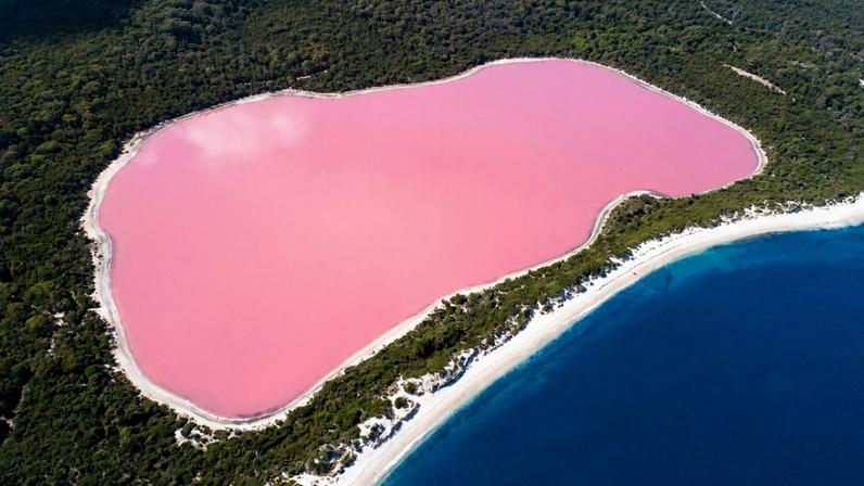 As águas cor de rosa do Lago Hillier na Austrália causadas pela presença de microalgas raras – Créditos: depositphotos.com / planeta_sport