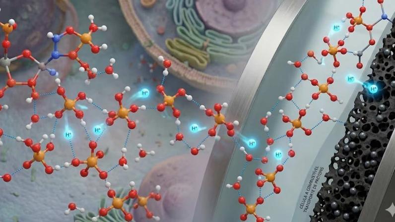 Descoberta molecular pode revolucionar baterias e ampliar compreensão da vida