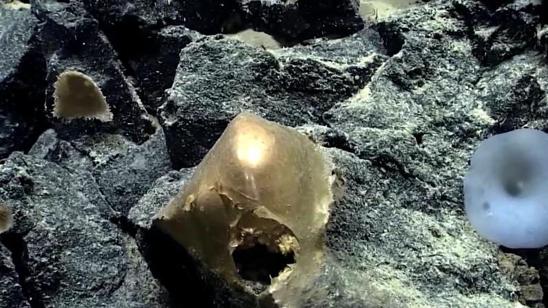 Esfera dourada em cima de pedras no mar
