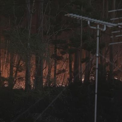 Defesa Civil de SP adota novas medidas contra incêndios florestais