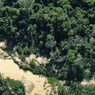 Satélites revelam expansão do garimpo em terras Kayapó