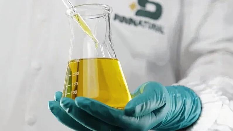 Medida reforça a transição energética e foi bem recebida pelo setor produtivo.