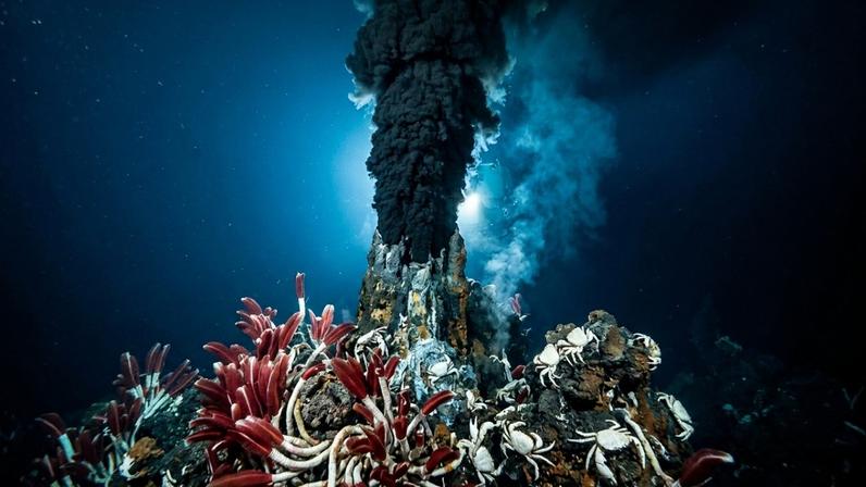 As profundezas dos vulcões submarinos escondem segredos que ignoram a luz do sol para prosperar no fundo do oceano