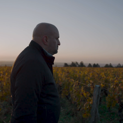 Quem é Arnaud Boué, o nome por trás de uma Borgonha mais acessível