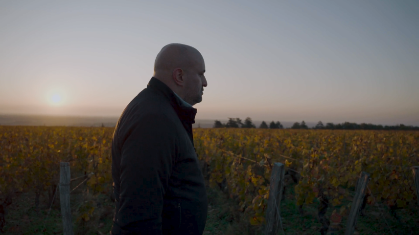 Quem é Arnaud Boué, o nome por trás de uma Borgonha mais acessível