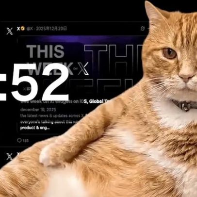 Gato gigante e gordo pode travar monitor; conheça o Cat Gatekeeper