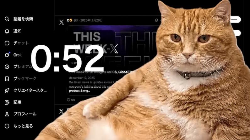 Gato gigante e gordo pode travar monitor; conheça o Cat Gatekeeper