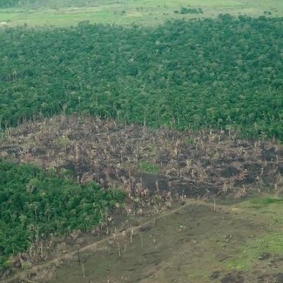 Queda no desmatamento da Amazônia indica eficácia de estratégia de preservação