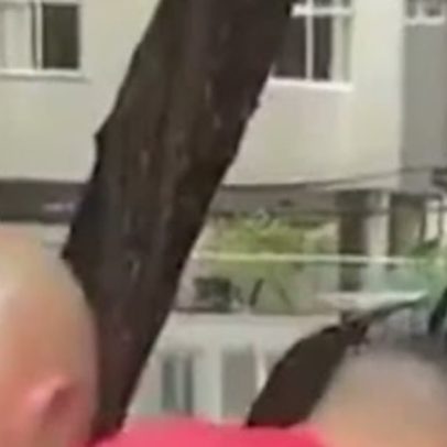 Polícia prende traficantes em flagrante na Barra