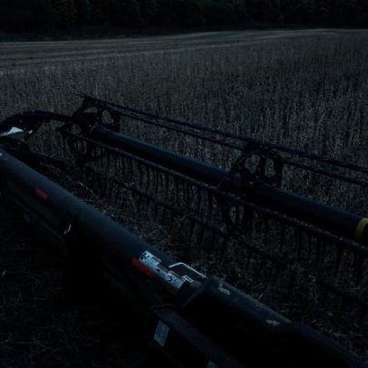 BB mira reerguer o agro com seguros rurais e consórcios