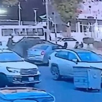 Vídeo registra sequestro de jornalista americana no Iraque