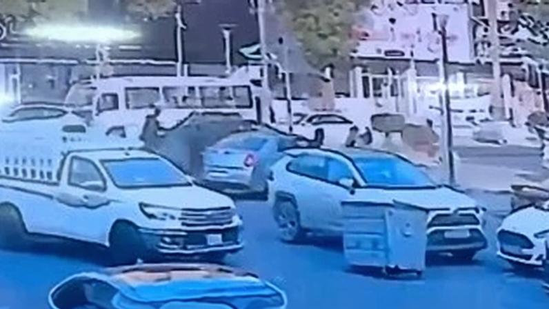 Câmera de segurança registra momento em que Shelly Kittleson é levada em Bagdá