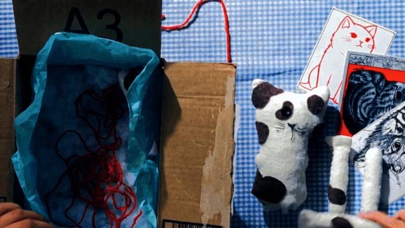 Campanha global da ONG Ampara Animal expõem rede de tortura ao vivo, omissão de Big Techs e o recrutamento de adolescentes em fóruns extremistas | Foto: Feline Guardians