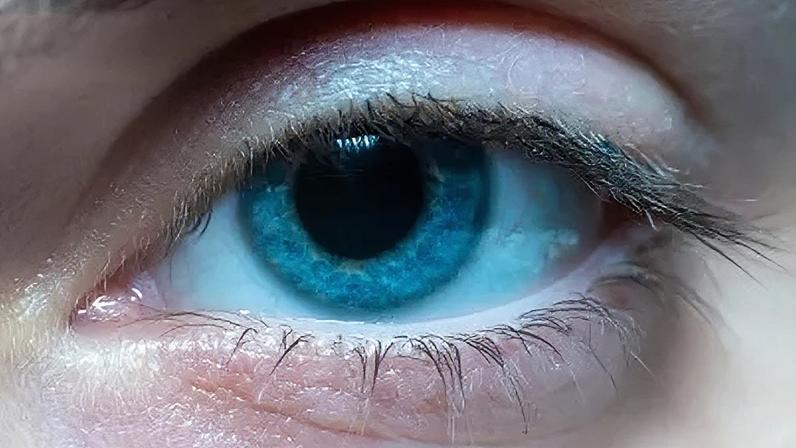 Limitações biológicas do olho humano impedem a percepção de fenômenos como luz ultravioleta e infravermelha, visíveis para outras espécies e alguns grupos de pessoas