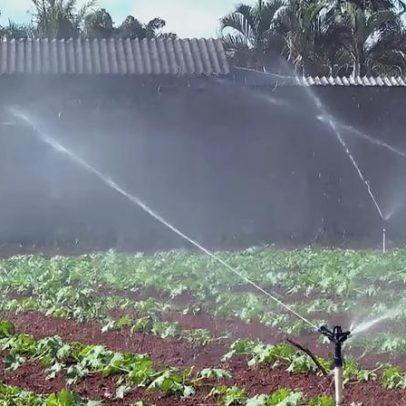 Irrigação eficiente é essencial para a agricultura familiar