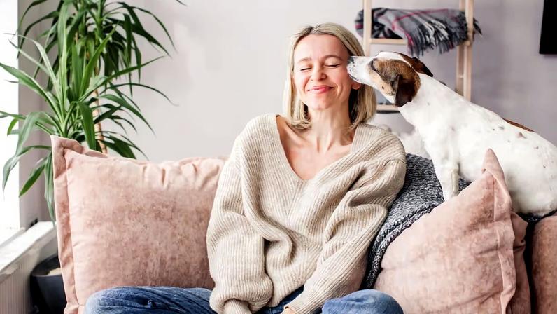 Cinco dicas para fortalecer o vínculo com o pet e reduzir o estresse