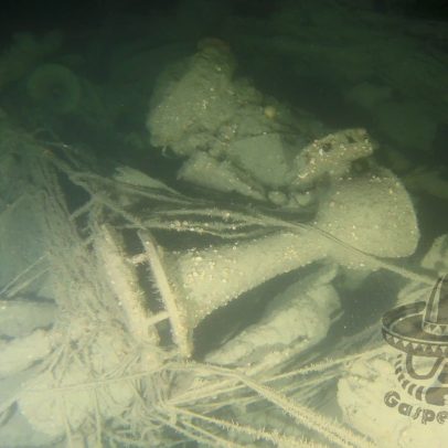 Mergulhadores encontram destroços da maior perda naval dos EUA na 1ª Guerra