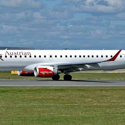 Abelha impede decolagem de avião com 107 passageiros a bordo