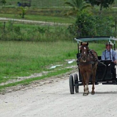 Mennonitas de Belize geram temores de desmatamento com planos de assentamento no Suriname