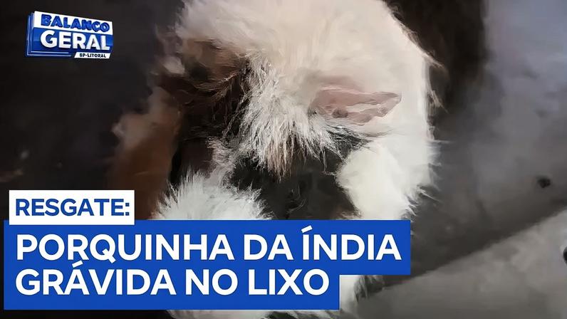 Reprodução canal do Youtube Record Litoral e Vale