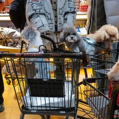 China mira pets e animes para impulsionar consumo
