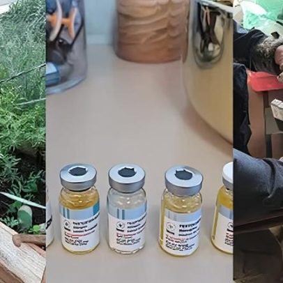 Grupo é preso por fabricar e vender anabolizantes no Paraná